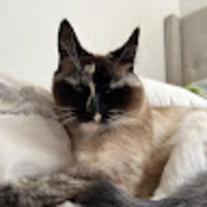 Meet your Posher, Katherine